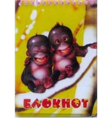 Блокнот А6, 24л. "Послушный чёрный кот"