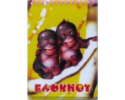 Блокнот А6, 24л. "Послушный чёрный кот"