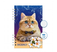 Блокнот спираль 120л. А6 "Кошки 1"