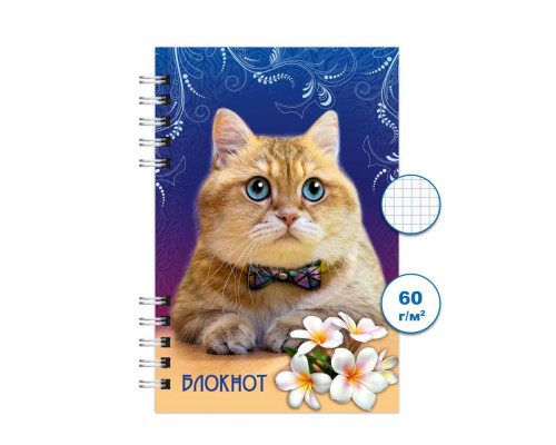 Блокнот спираль 120л. А6 "Кошки 1"