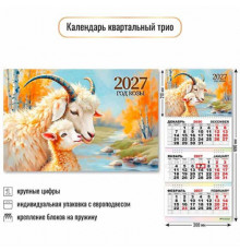 Календарь настенный 2027г. BG спираль "Символ года"