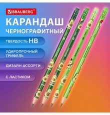 Карандаш чернографитный с принтом BRAUBERG "AVOCADO",  HB, с ластиком, корпус ассорти