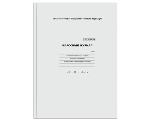 Классный журнал BG для 5-9 классов