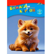 Набор цв.картона А4 8цв. и цв.бумаги А4 16цв. АППЛИКА "Лисёнок" в папке
