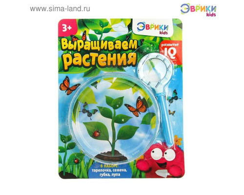 Набор для опытов «Выращиваем растение»: лупа, семена, тарелка, губка