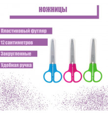 Ножницы 12 см, в пластиковом в футляре