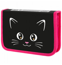 Пенал ПИФАГОР, 1 отделение, "Dark kitten"
