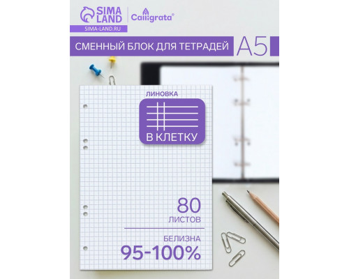 Сменный блок для тетрадей на кольцах А5, 80 листов в клетку, белый, 60 г/м²