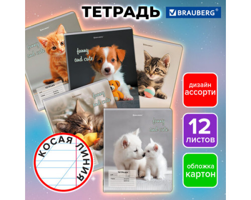 Тетрадь 12 л. BRAUBERG косая линия, обложка картон, CATS AND DOGS