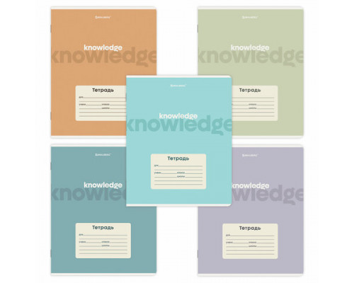 Тетрадь 24 л. BRAUBERG клетка, обложка картон, KNOWLEDGE